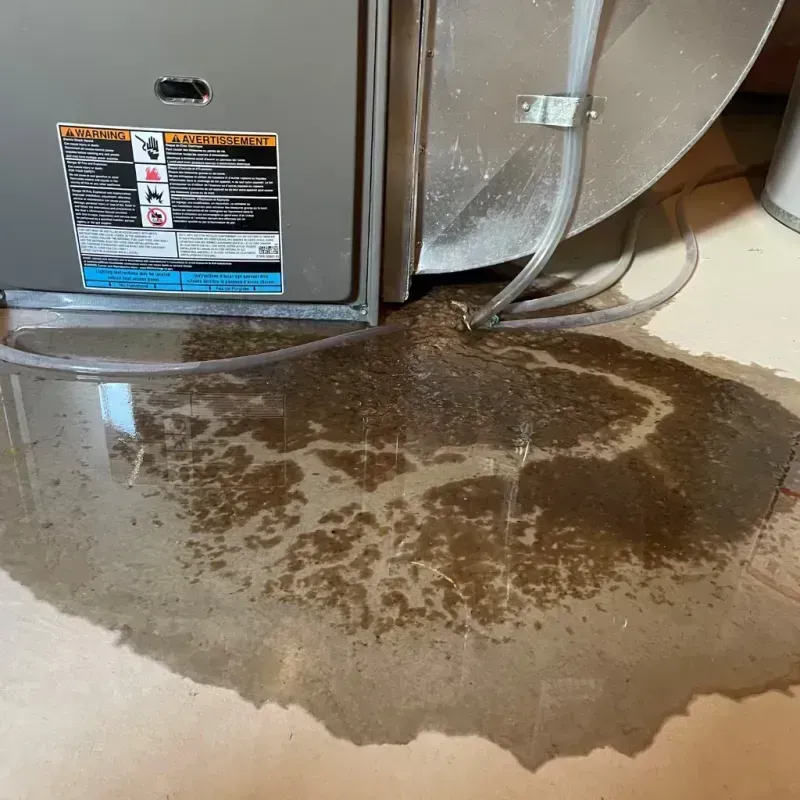 Appliance Leak Cleanup in Medina, TN